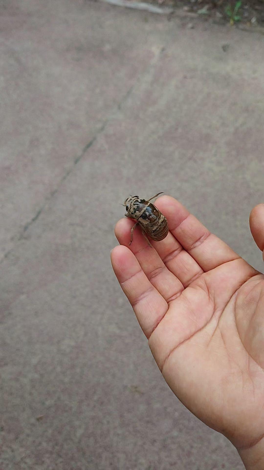 知道这是什么？？？