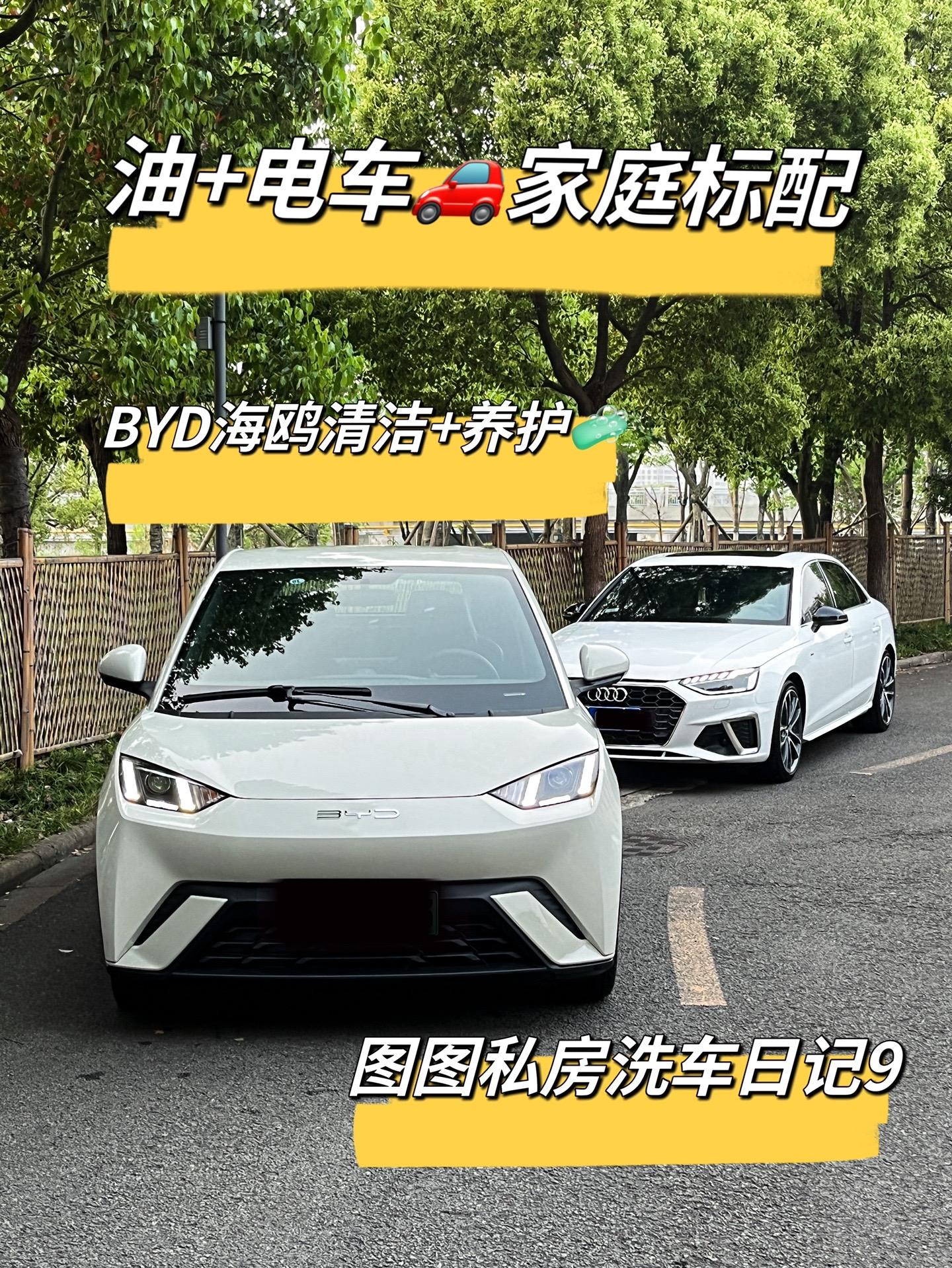 不是油车买不起，而是电车更有性价比。十几块钱跑300公里，想去哪就去哪。其中的快乐只有自己懂，真的香新能源汽车