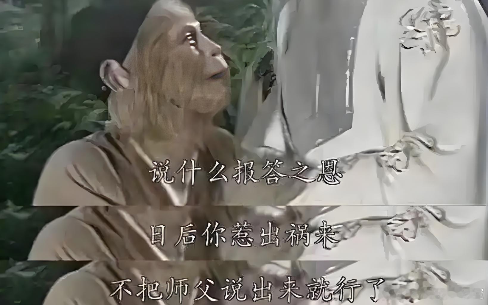 今天是恩师张国安教授71岁大寿。作为开门弟子大师兄，阿宝早早定好了酒店包间，约了