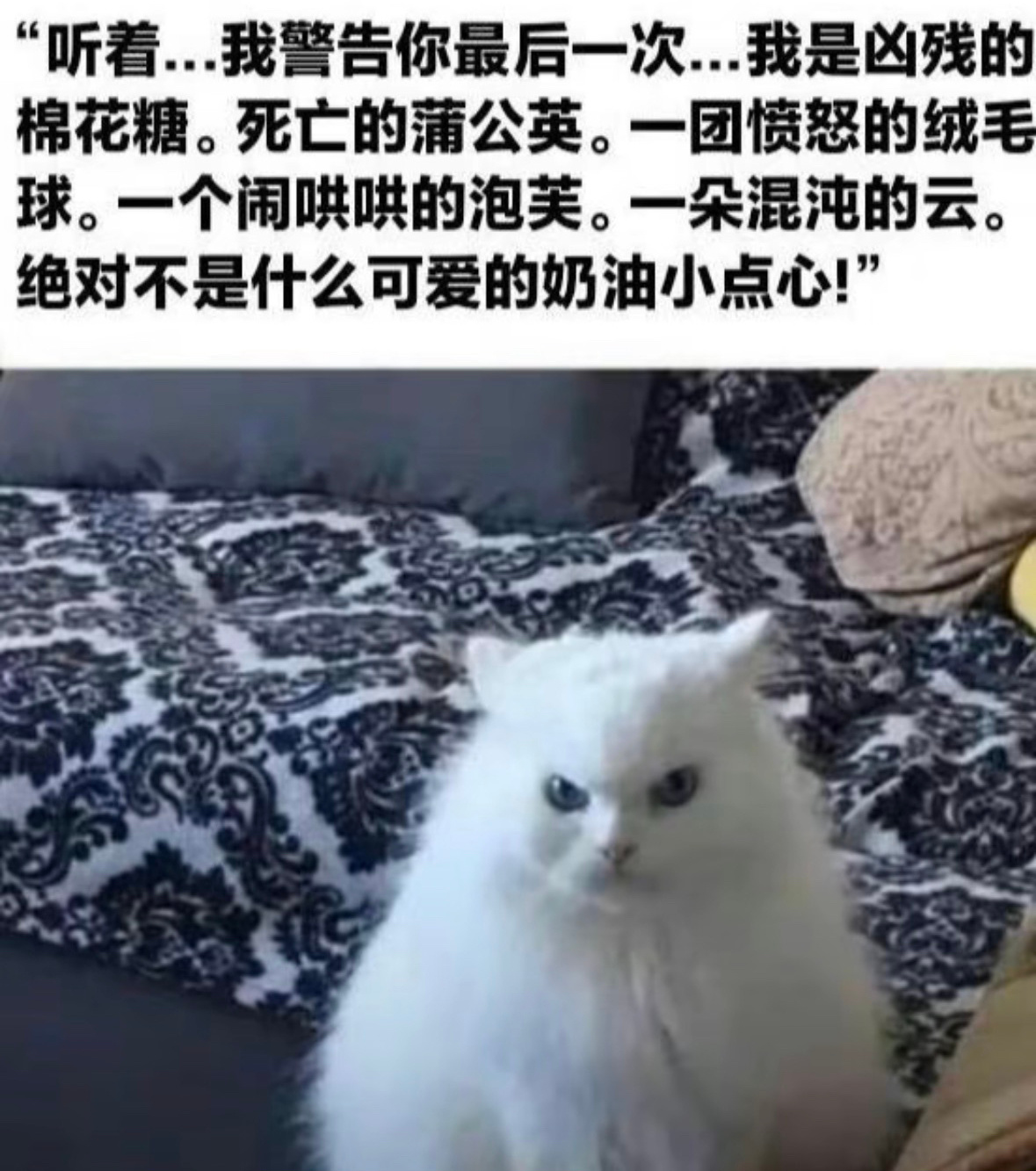 我可不是什么可爱的奶油小点心[哇] ​​​