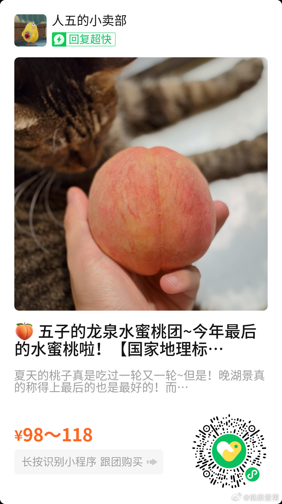 桃子好评！ 