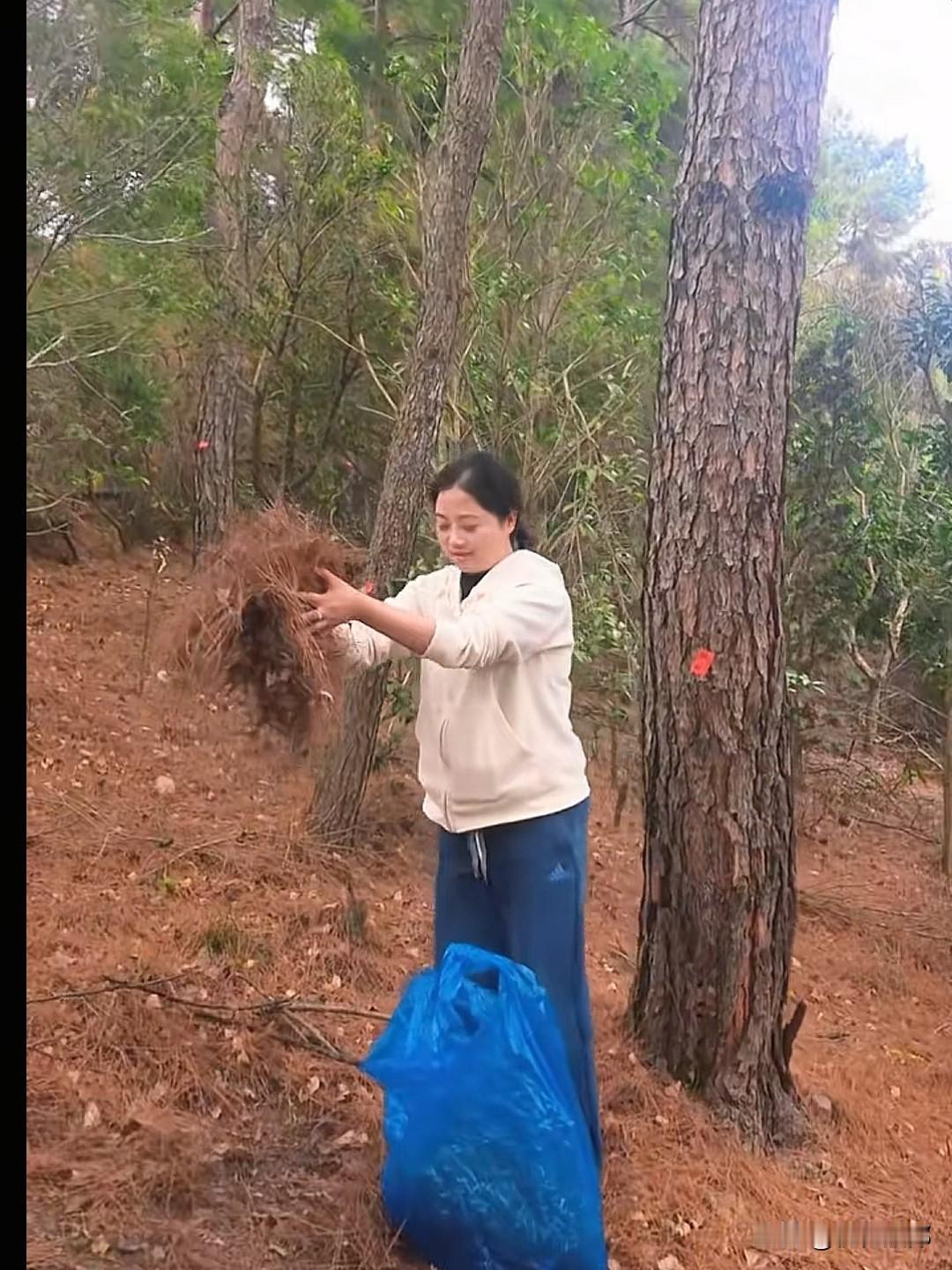 分享我这周有趣的事：带上佳人拾捡松塔，五一长假装饰打理庄园。