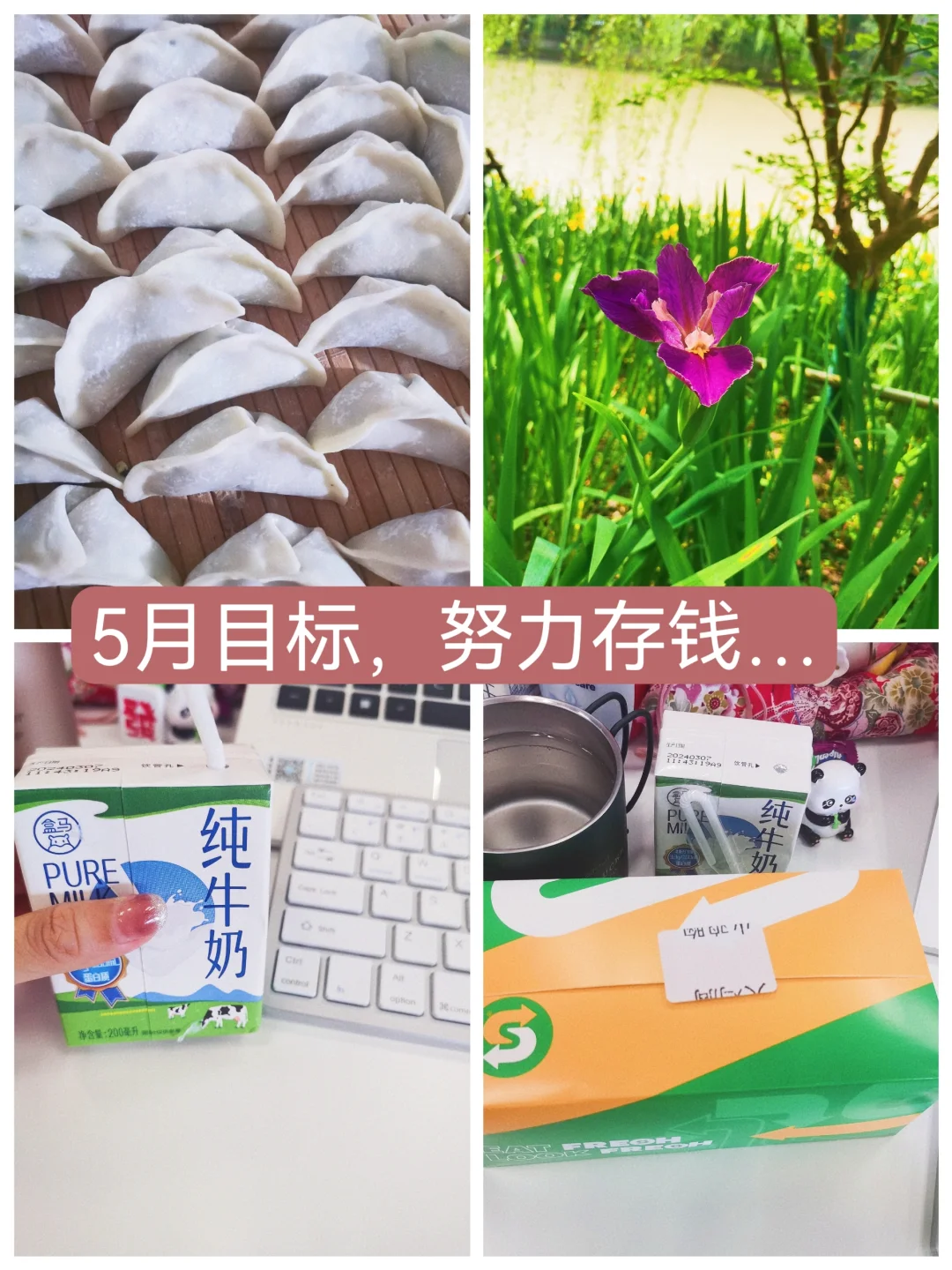 存款182万|5月目标已开启，努力存钱…