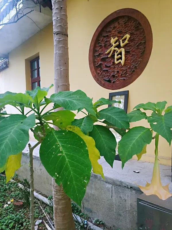 人怎么牛逼强大起来？

就是靠——戒定慧！

戒的奥义，是戒掉对物质现象和精神现