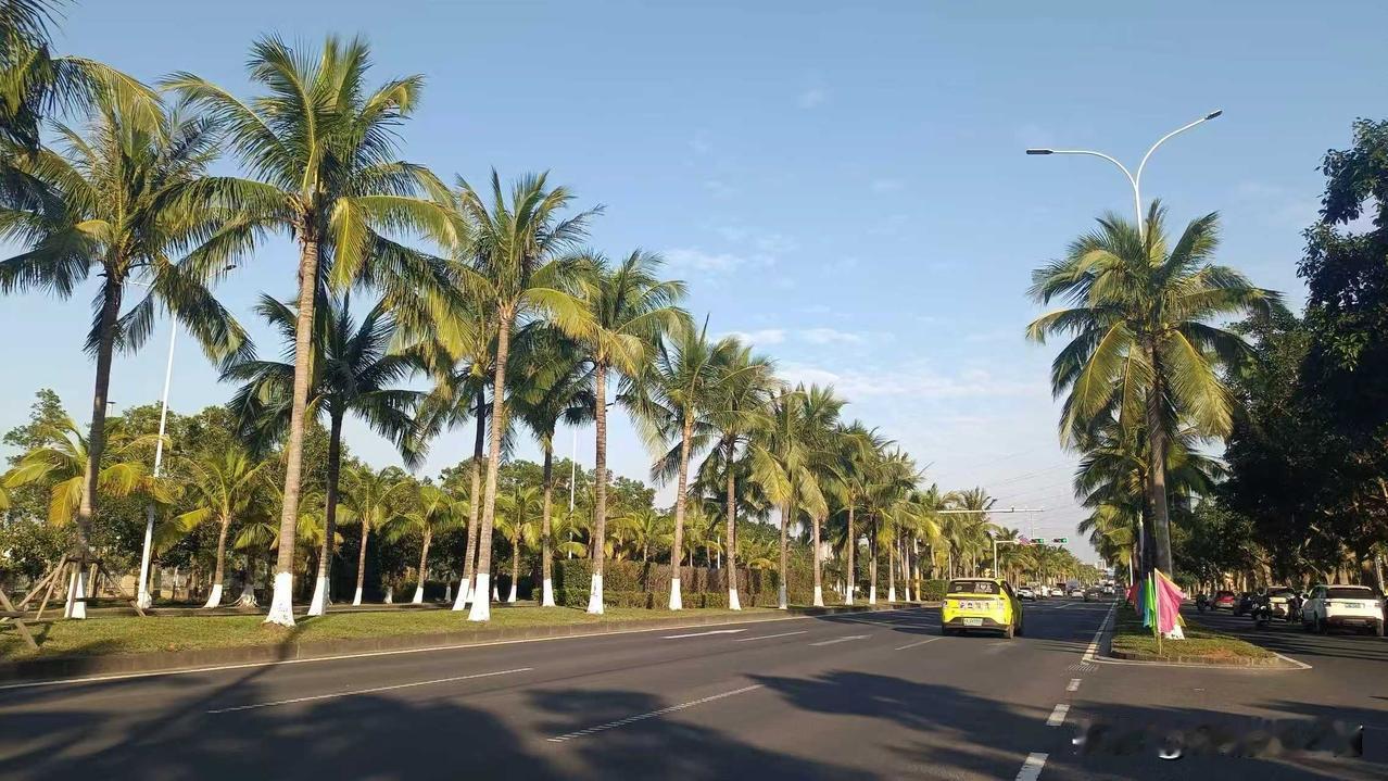 海口最长的道路是哪条？

海口的地盘是东西长，南北窄，沿着琼州海峡海岸线呈狭长形