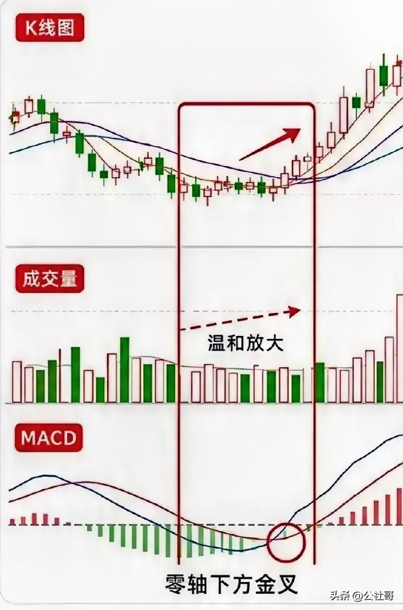 MACD低位放量+金叉，反转信号才可靠，如下图。否则，只能是定位弱势反弹，遇到上