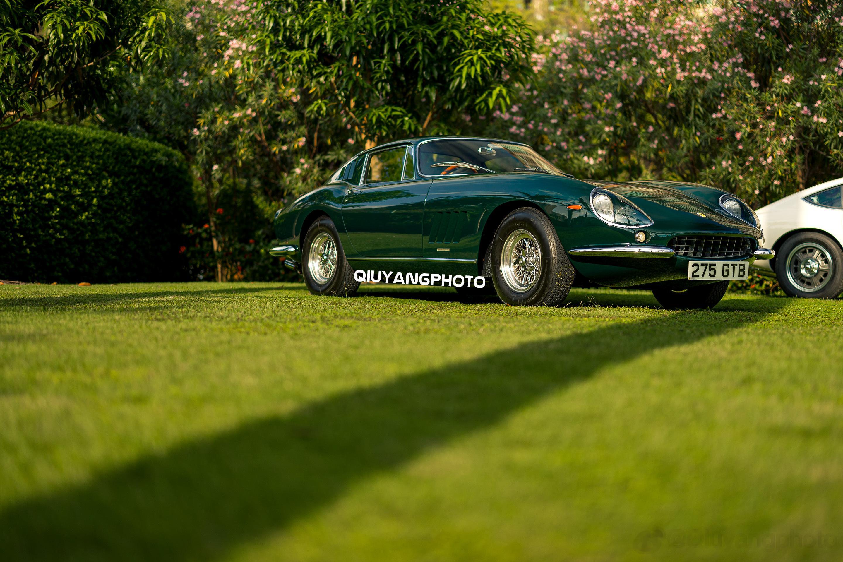 Best of the Show #gcmf2023# Ferrari 275 