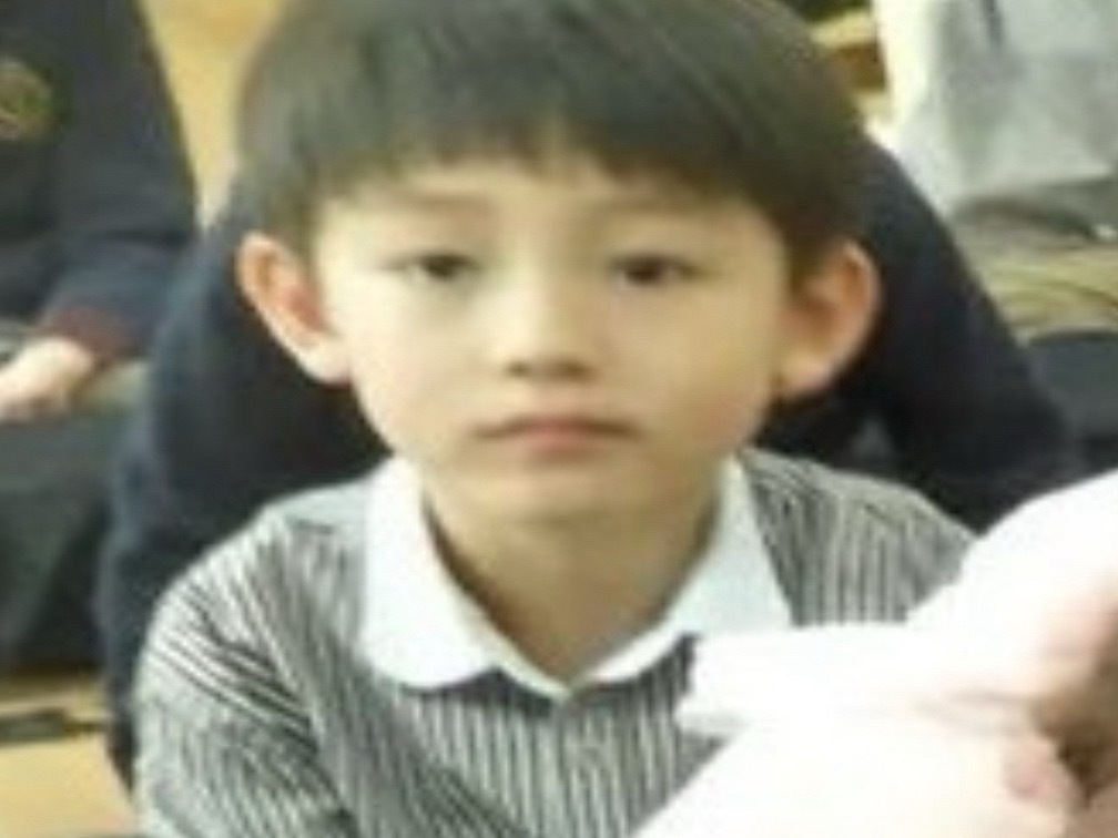 呆子 