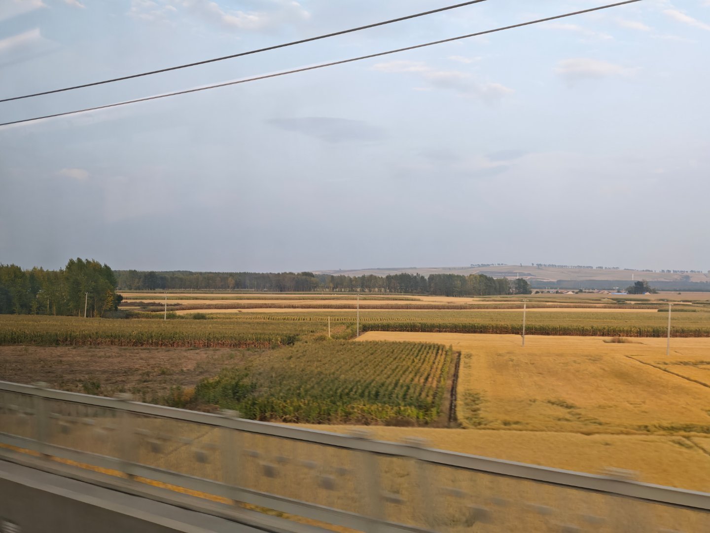 在希望的田野上  ​​​