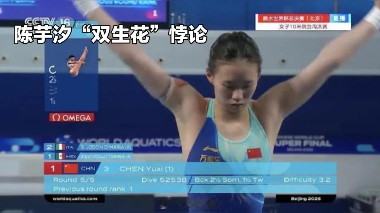 跳台上她是“水花消失术”教科书，但全红婵的满分神迹总在双人赛失灵——只因身旁站着