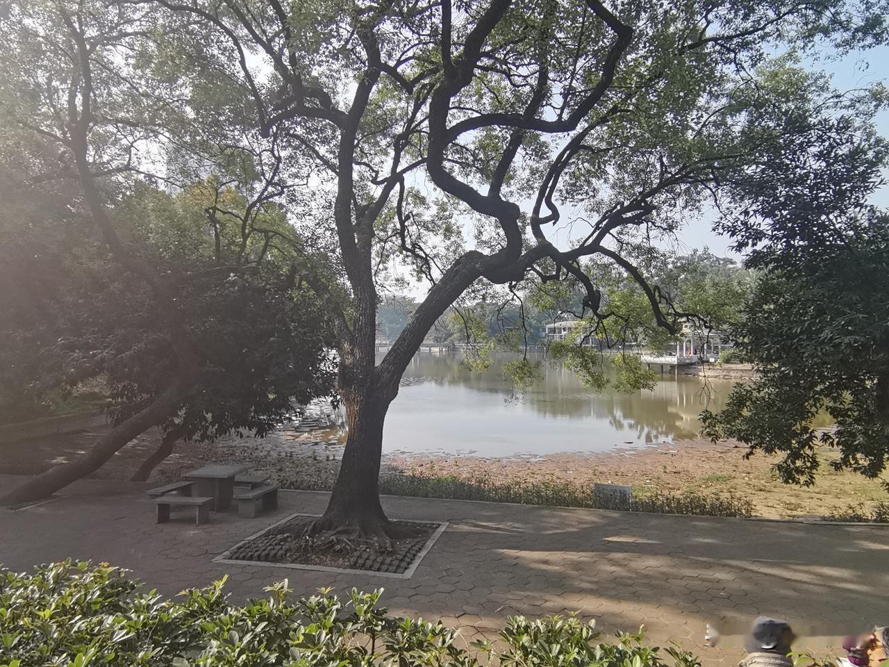 人们包括我自己，往往容易混淆，（标准）与（途径）这2个概念 。

比如想知道苹果