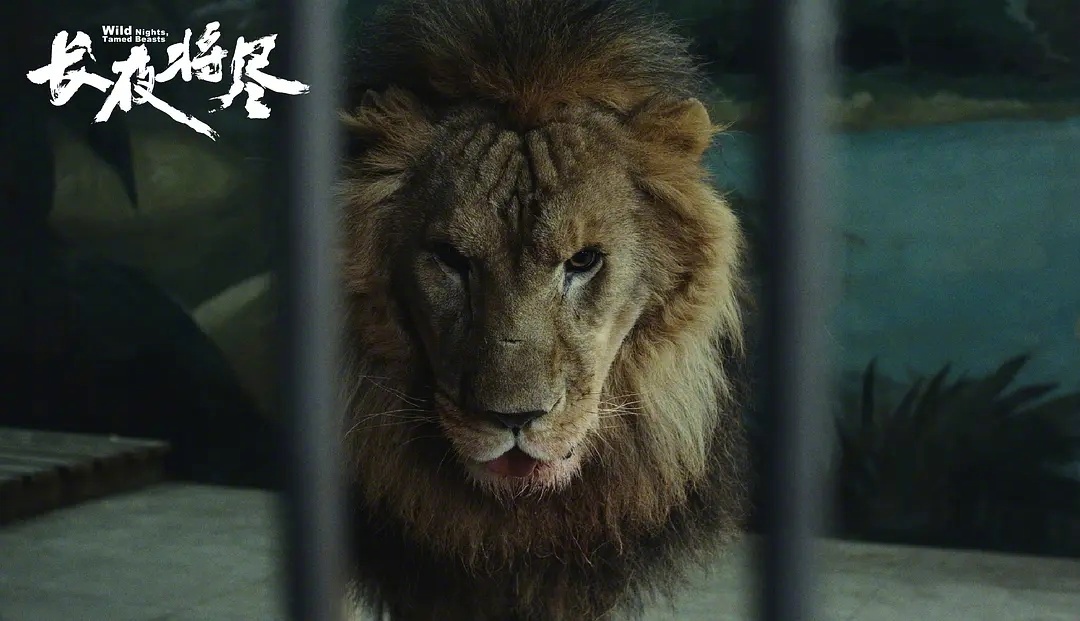 电影长夜将尽首映礼 看《长夜将尽》之前，我对它的期待只是一个普通的家庭剧情片。看