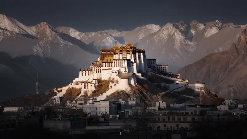 我相册里最满意的照片，一张是在西藏拍的。蓝天白云下，广袤草原连着远处壮观雪山，近