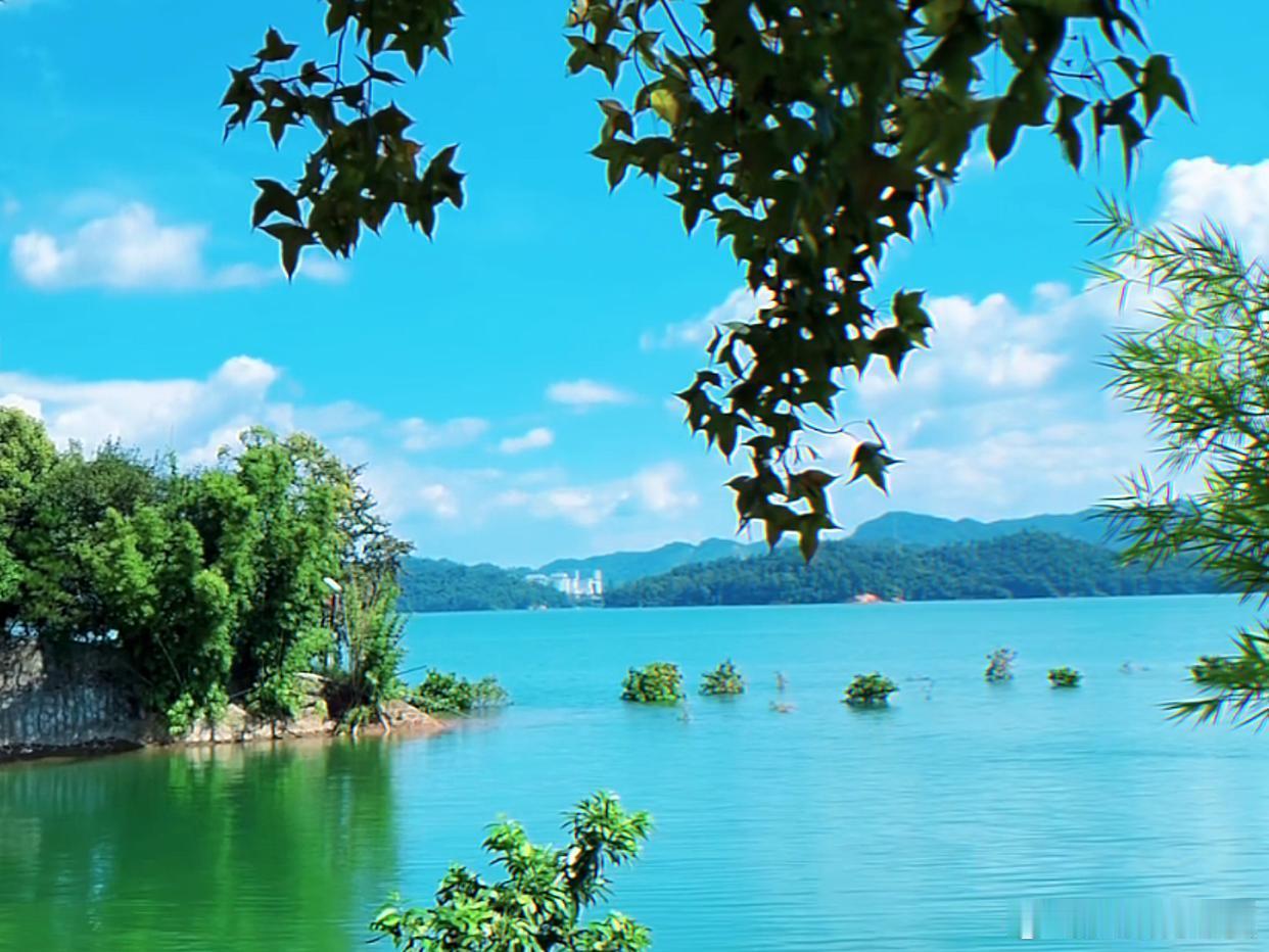 盛夏追光之旅微博旅行ing广东原来藏了这么个小众宝藏地，河源东源县被严重低估了！