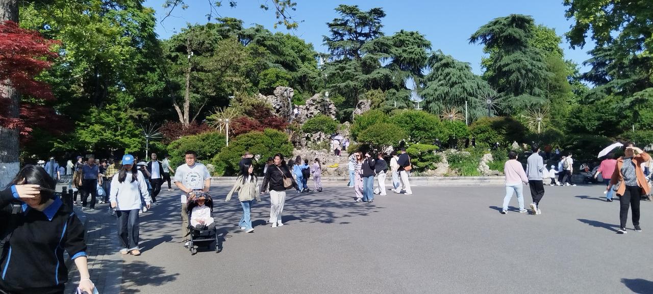 分享一张你在玄武湖拍的照片吧