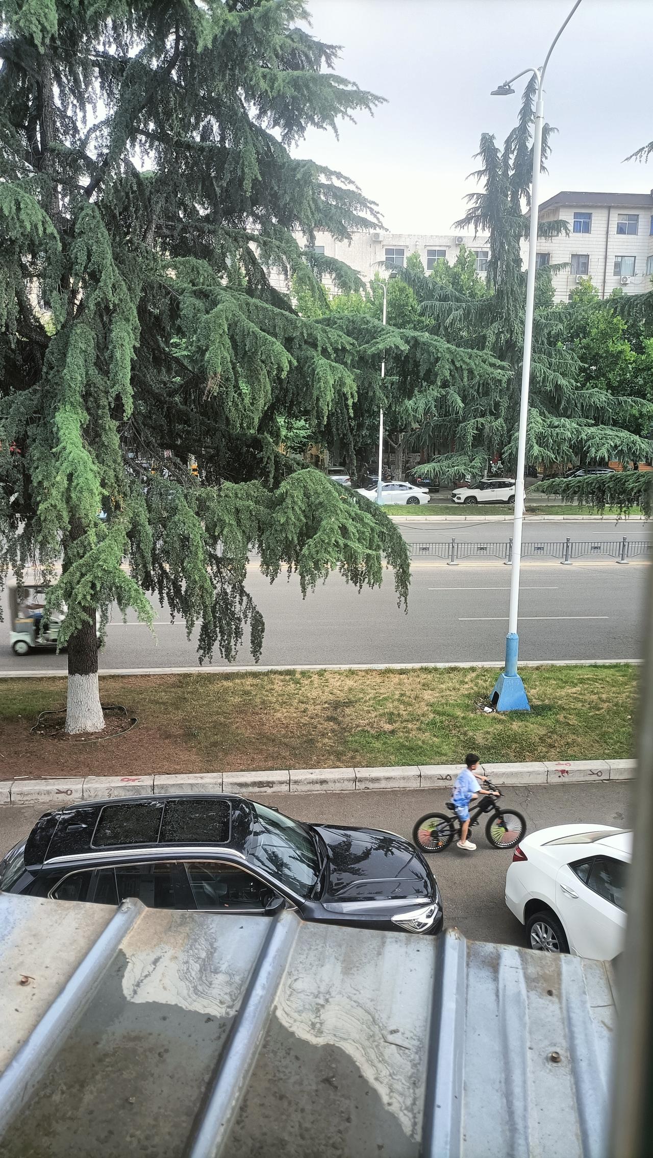 大家准备好了吗？
今天已经是7月16号了
 今年三伏天足足40天，高温模式正式开