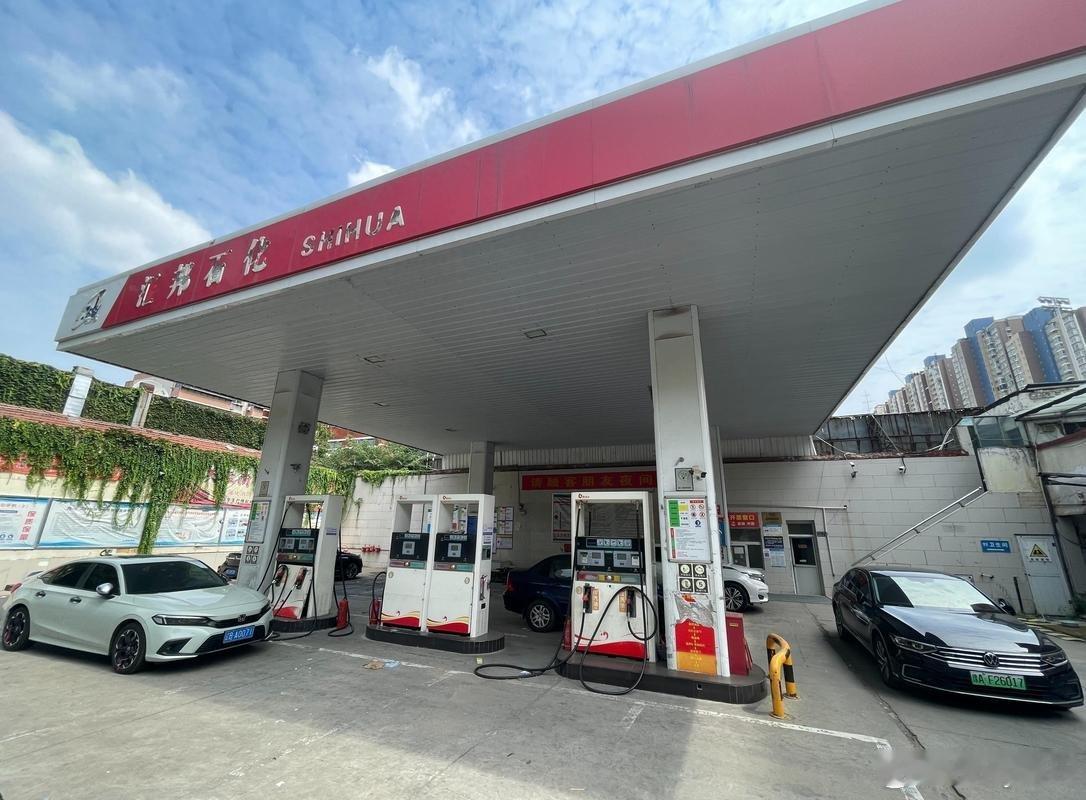 专家说纯油车不行了专家称混动和纯电车将二分天下石丁talk纯油车被判定技术落后，