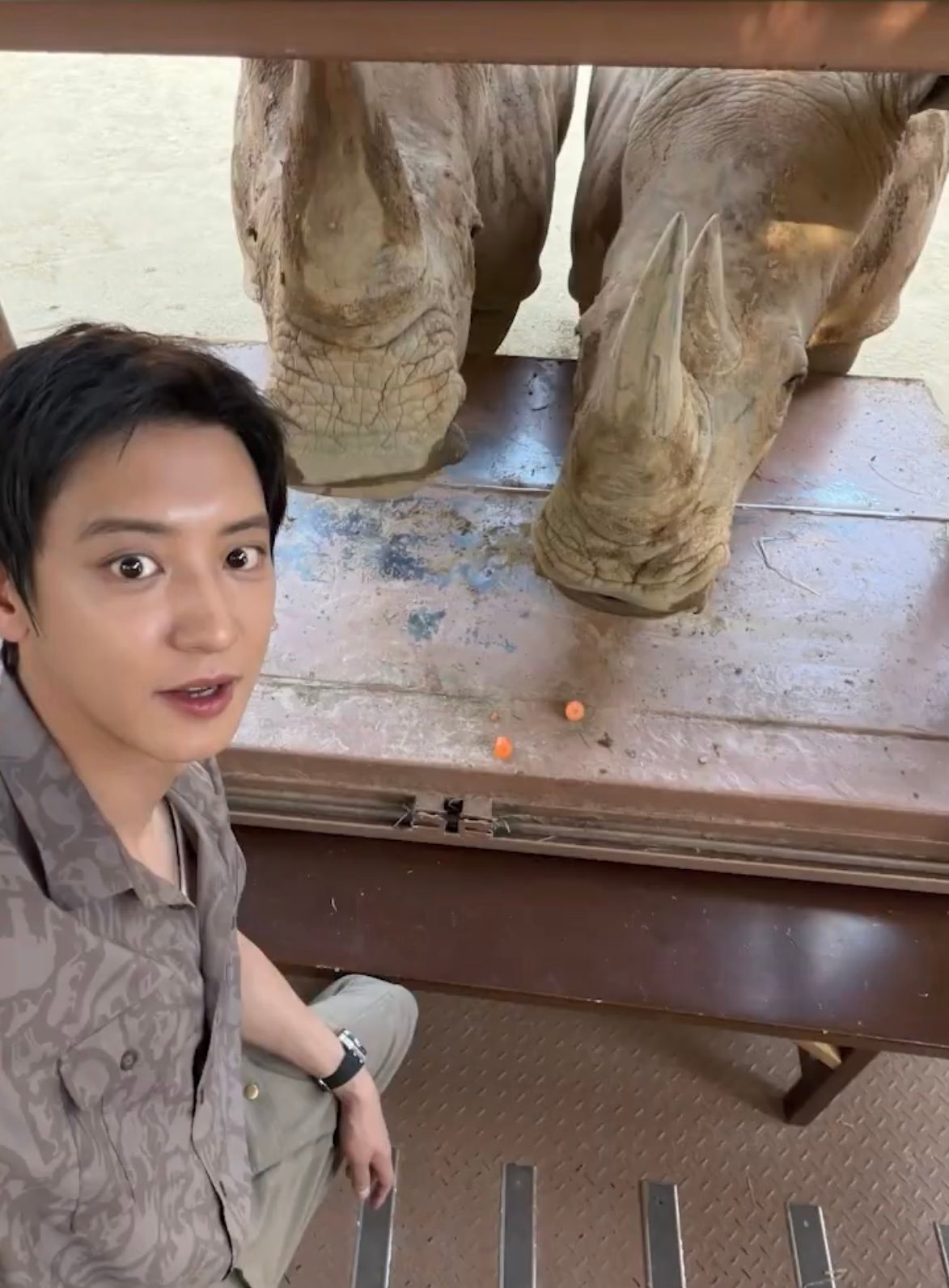 🦒：那家伙的大眼睛 