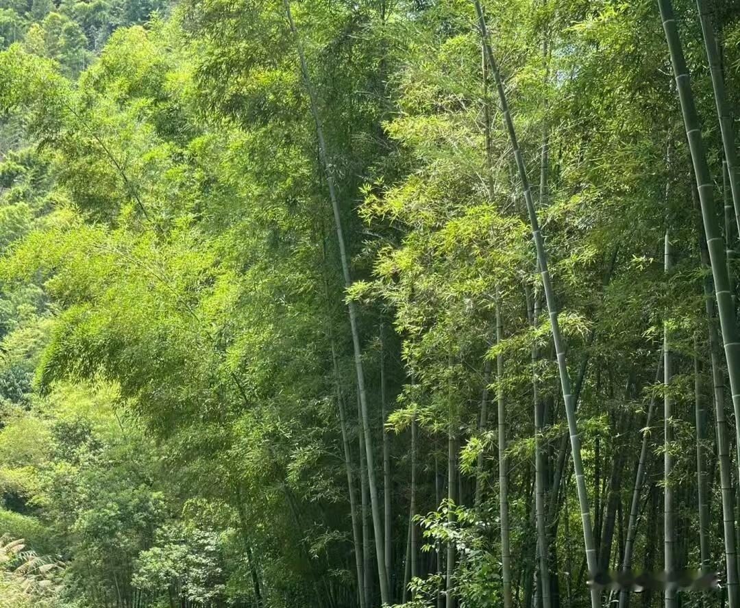 每一时间就有一个风景。
享受美好时光就好了。