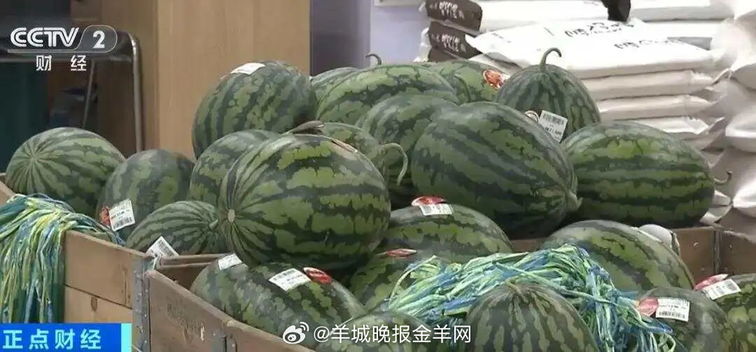 【#韩国一个西瓜涨到156元#，一棵大白菜均价超22元】近期，韩国持续遭遇热浪。