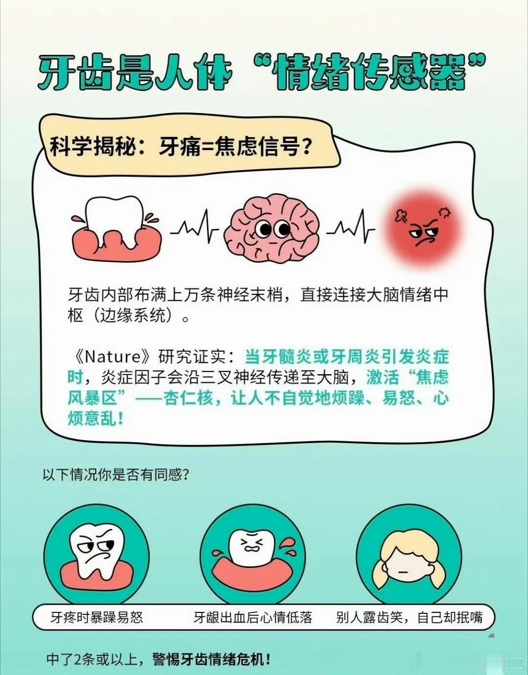 牙齿和情绪的关系原来情绪跟牙齿有正相关的关系，怪不得每次心情不好，都没心情吃东西