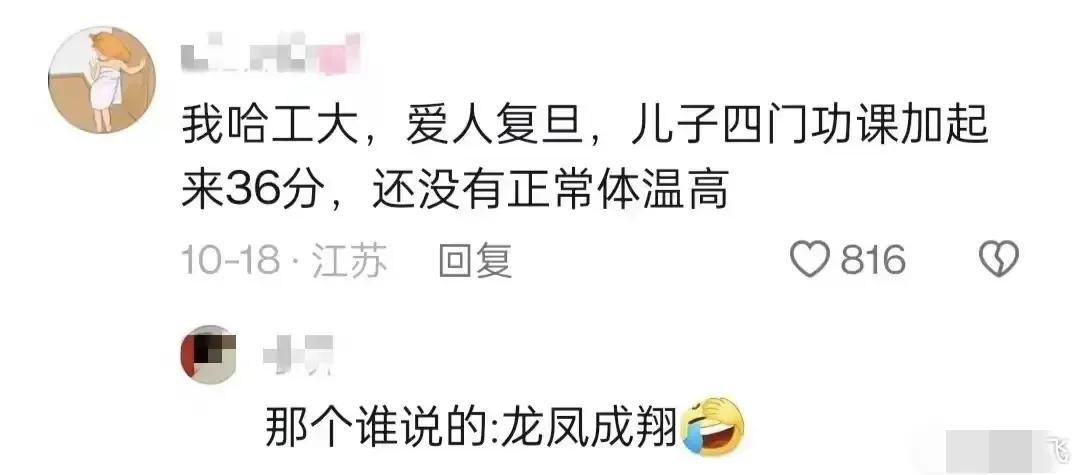 龙凤呈祥VS龙凤成翔