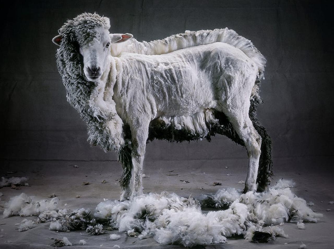 我们往往习惯于通过“增加”来解决问题，而忽视了“减少”这一简单而有效的选择。事实