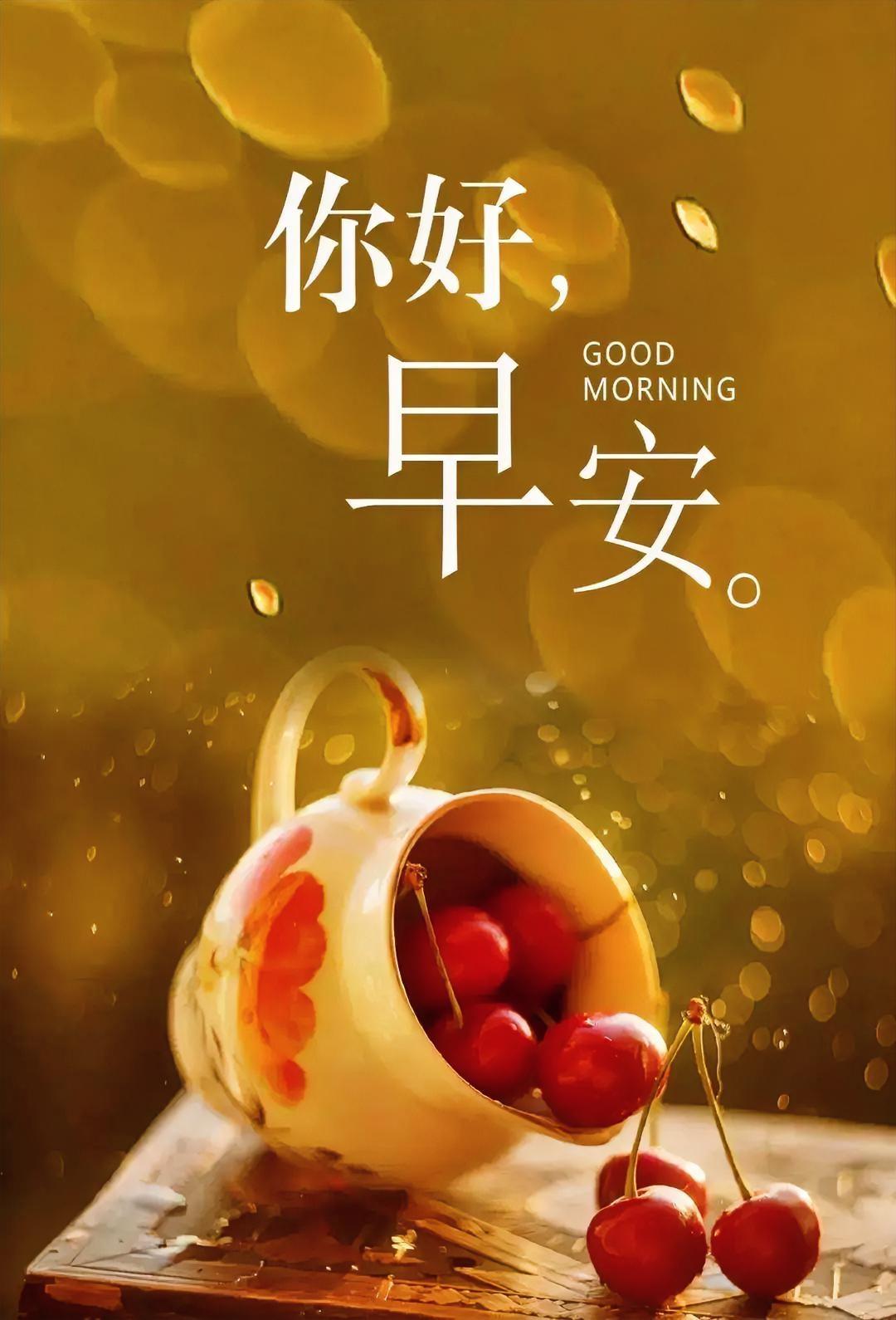 早安～愿你今日，温柔且坚定，万事皆顺意，让新的一天从美好期许开始。
