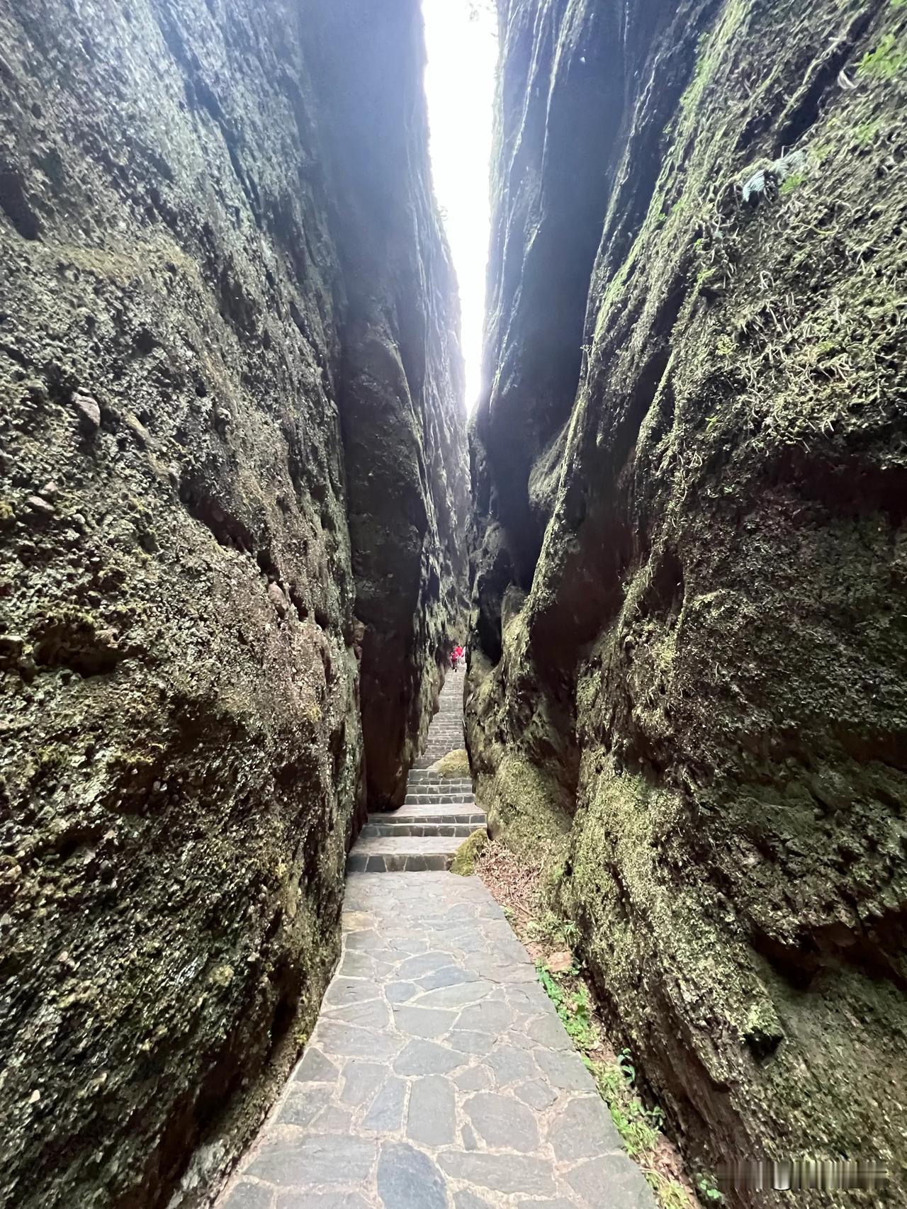 会昌汉仙岩景点之一：鹞子翻身

鹞子翻身是汉仙岩最难走的山路，难在钻石缝，要手脚