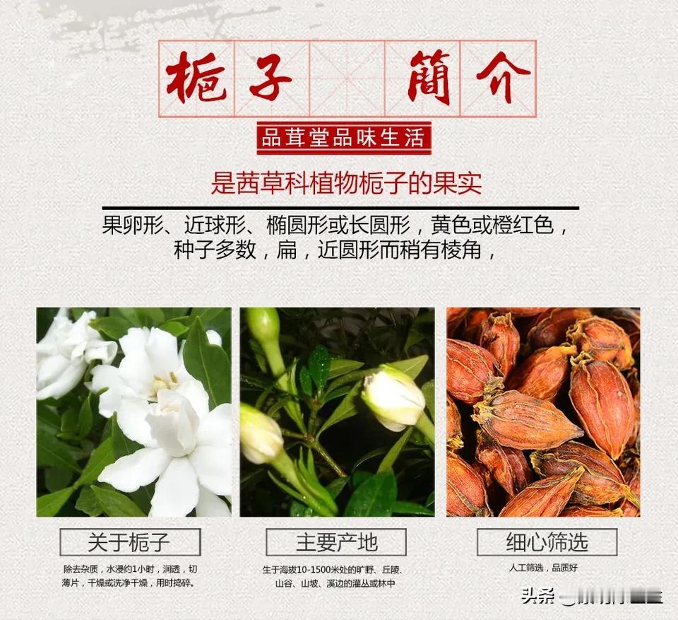 喜欢，平淡、持久、温馨、脱俗的外表下，蕴涵的是美丽、坚韧、醇扑，让生命熠熠生辉！
