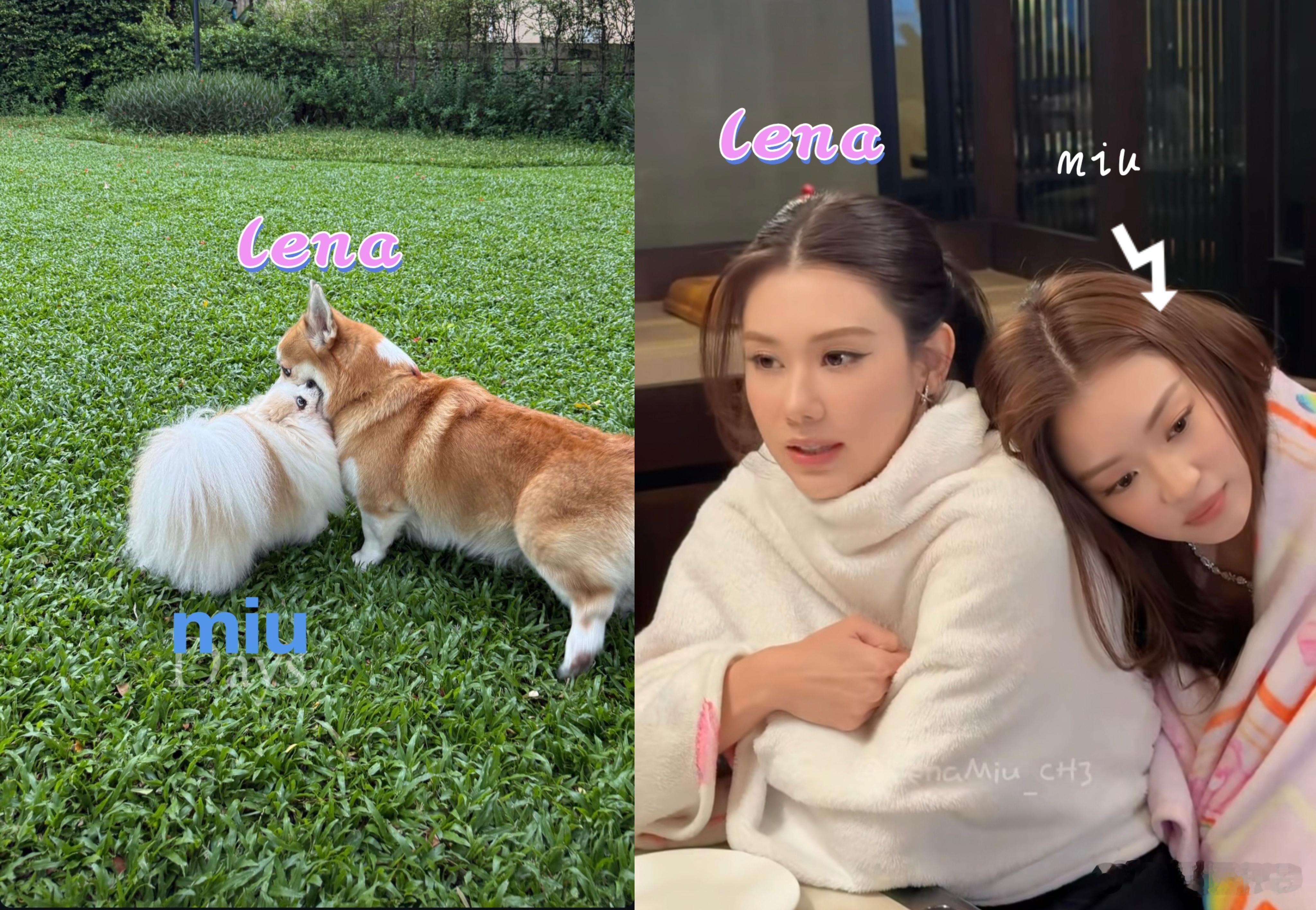 lenamiu 谁家修狗不分家 