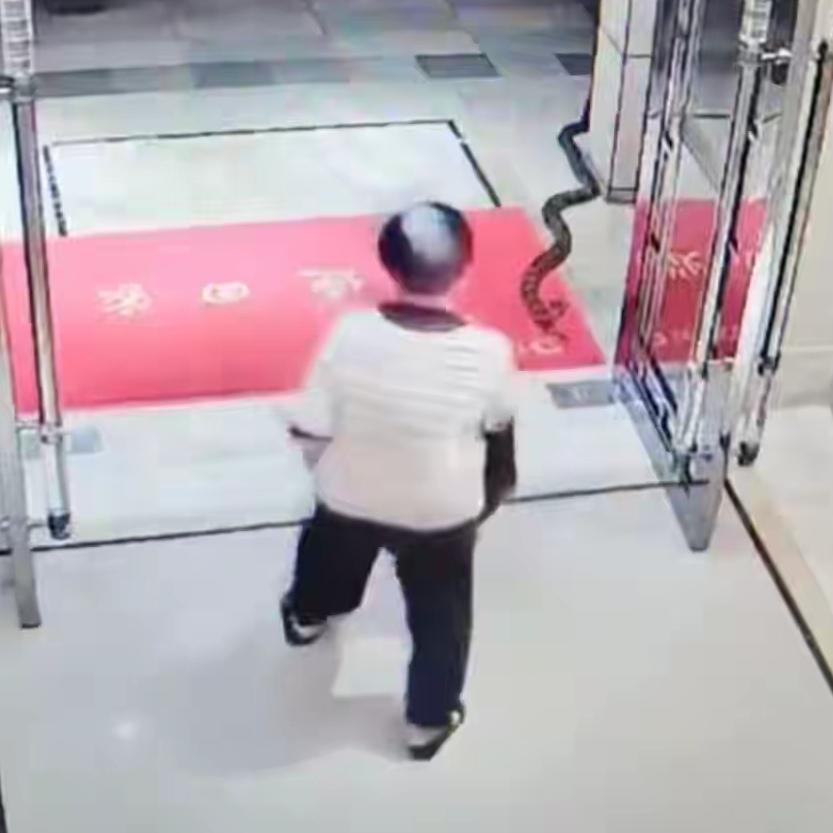 监控画面里，这条大蛇悄无声息地从小区绿化带钻出来，一路蜿蜒爬到单元楼门口，突然昂