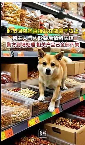 广州狗主带狗进超市直接放在干货货架上，劝阻不成还动手殴打店员。不少网友疑惑：她为