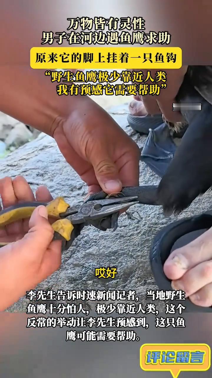 救过它，一根钩子死了，然后到下面脚底下还有脚底下也有，一个桥洞就可以穿出来了。然