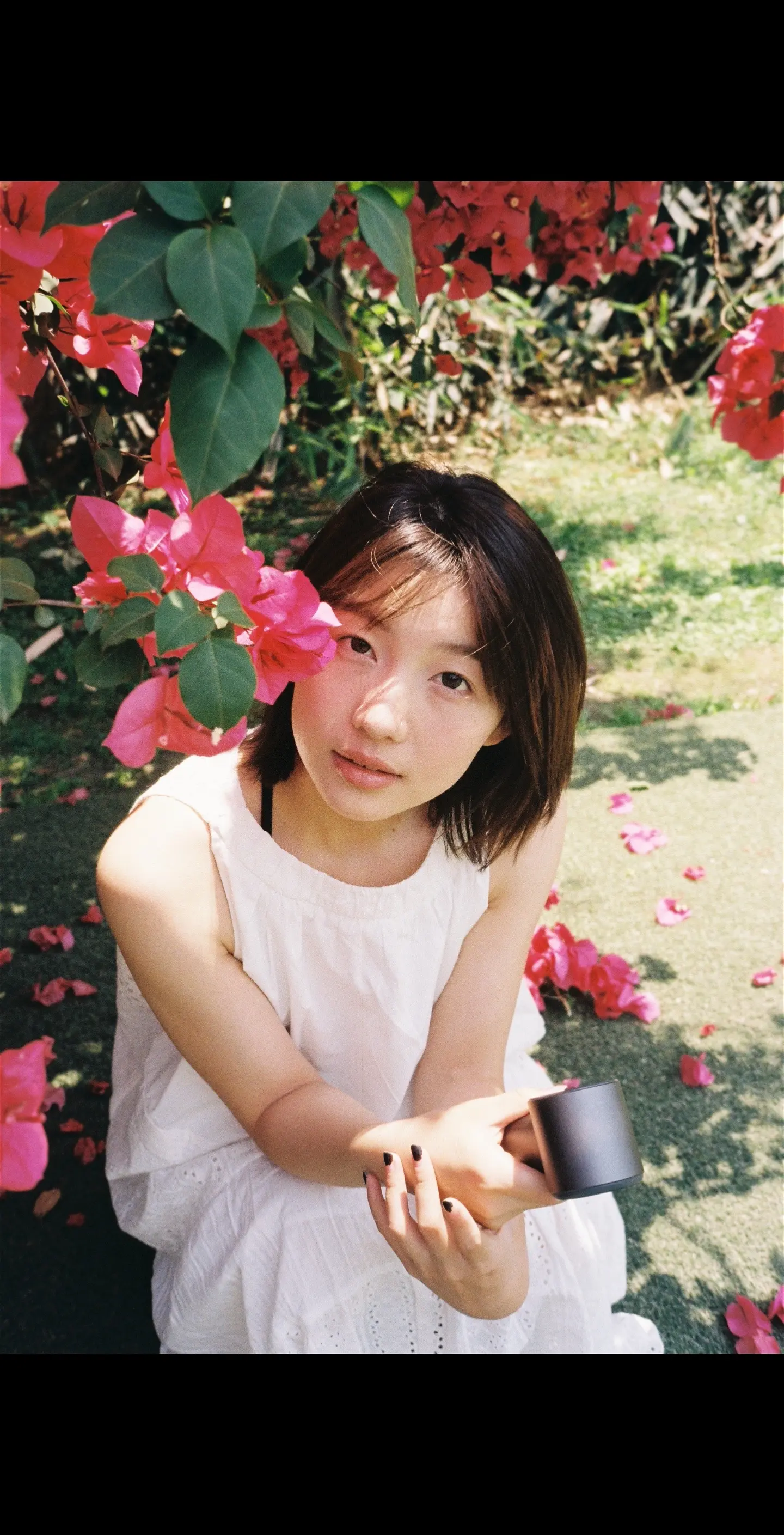胶片🎞️