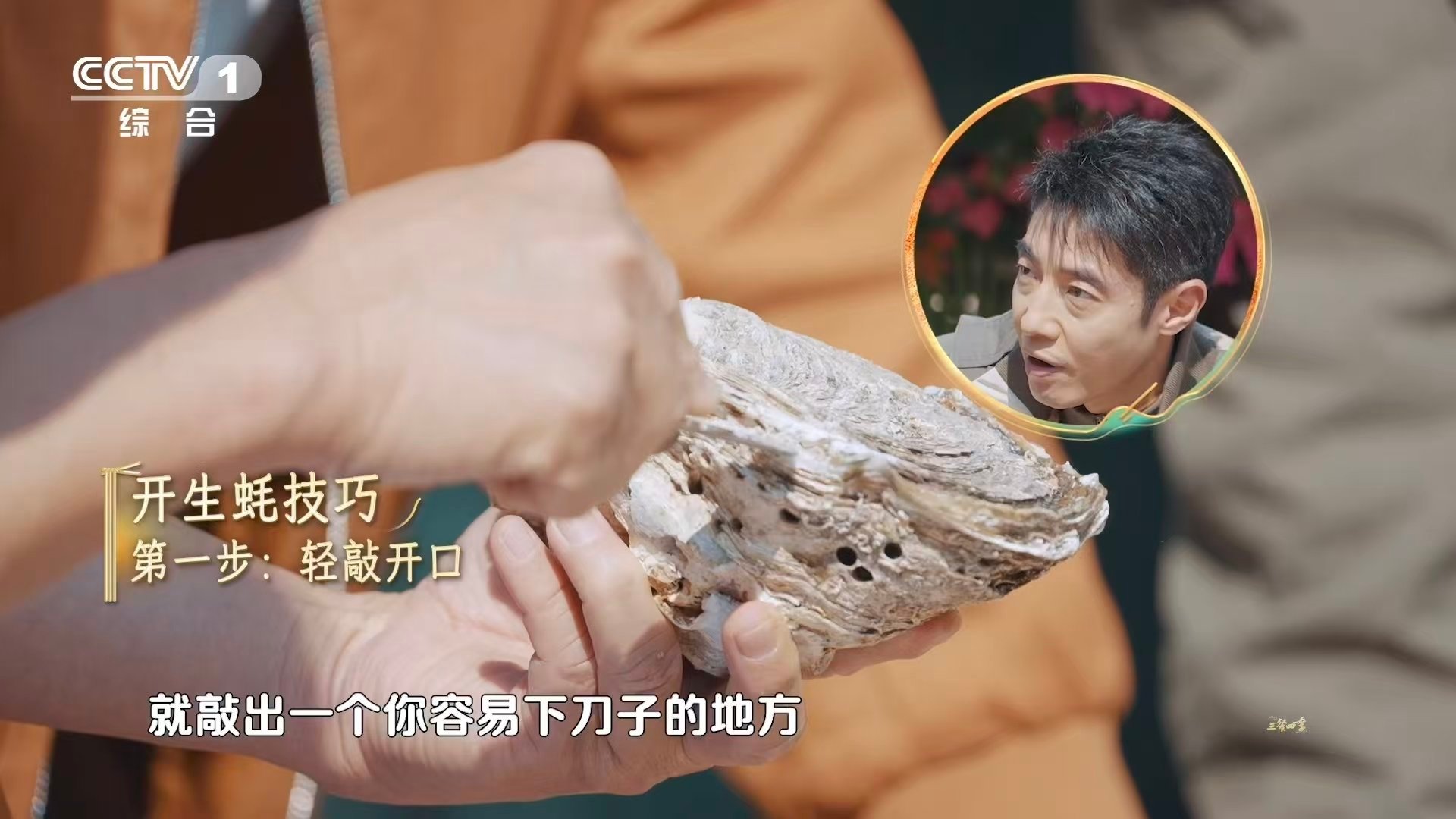 广东人的梦中情饭 汕尾三鲜凭什么火出圈？看看这晨洲蚝！开壳就爆汁，肥嫩爽脆还带酥