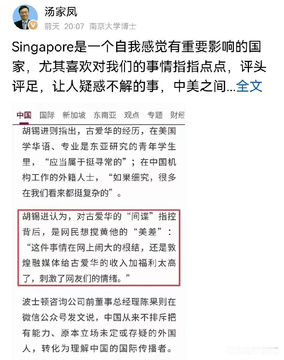 汤家凤的批判总是一针见血！
新加坡总给人一种感觉，自认为在国际上分量很重，这没有