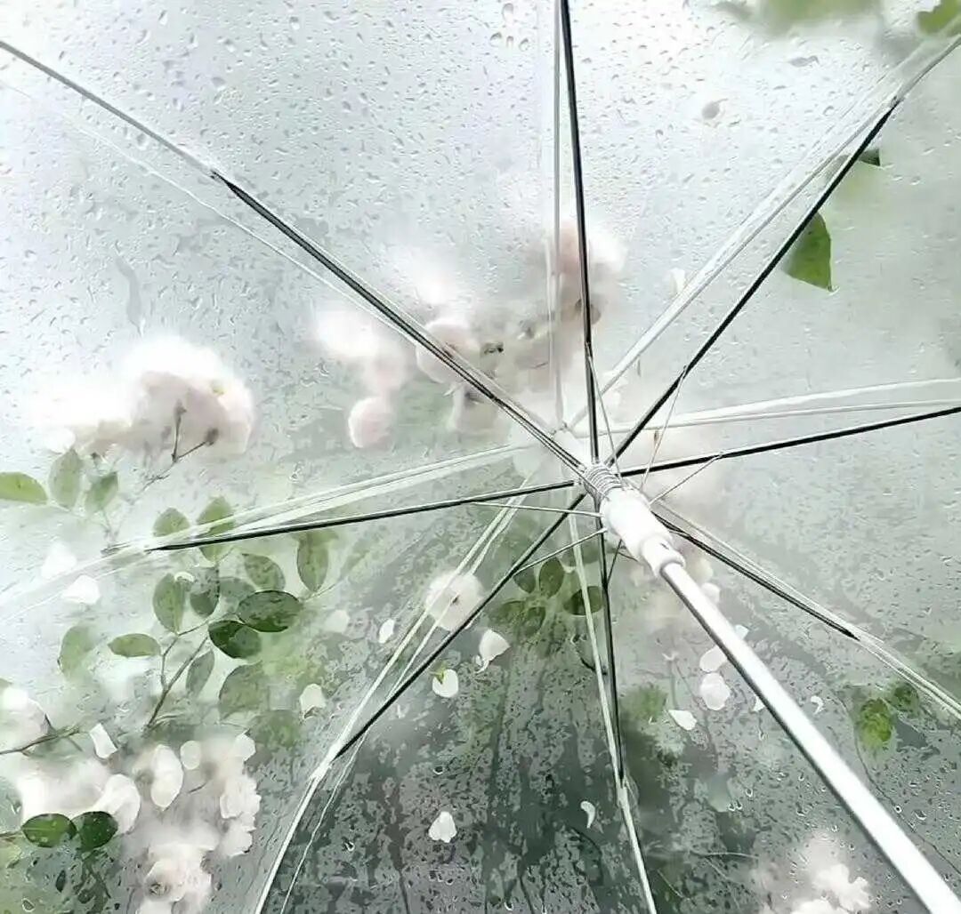 𝙒𝙚𝘾𝙝𝙖𝙩丨古早味昭和日杂感背景图 