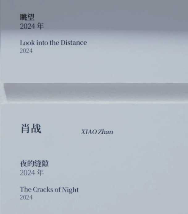 肖战拍的猫 肖战的电子回忆  肖战的电子回忆，是战战拍的小猫，谁来懂一下肖战拍的
