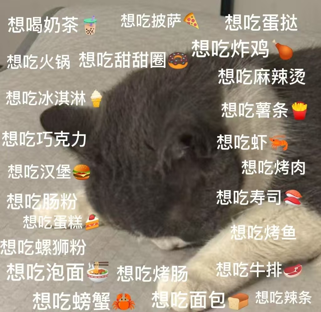 迪丽热巴 想吃汉堡🍔想吃薯条🍟想喝奶茶🧋想吃炸鸡🐔想要你们和我互动，想穿
