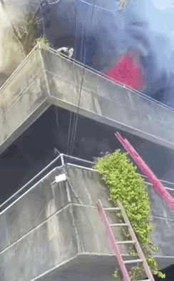 这姑娘的果敢救了她一命，大难不死必有后福！