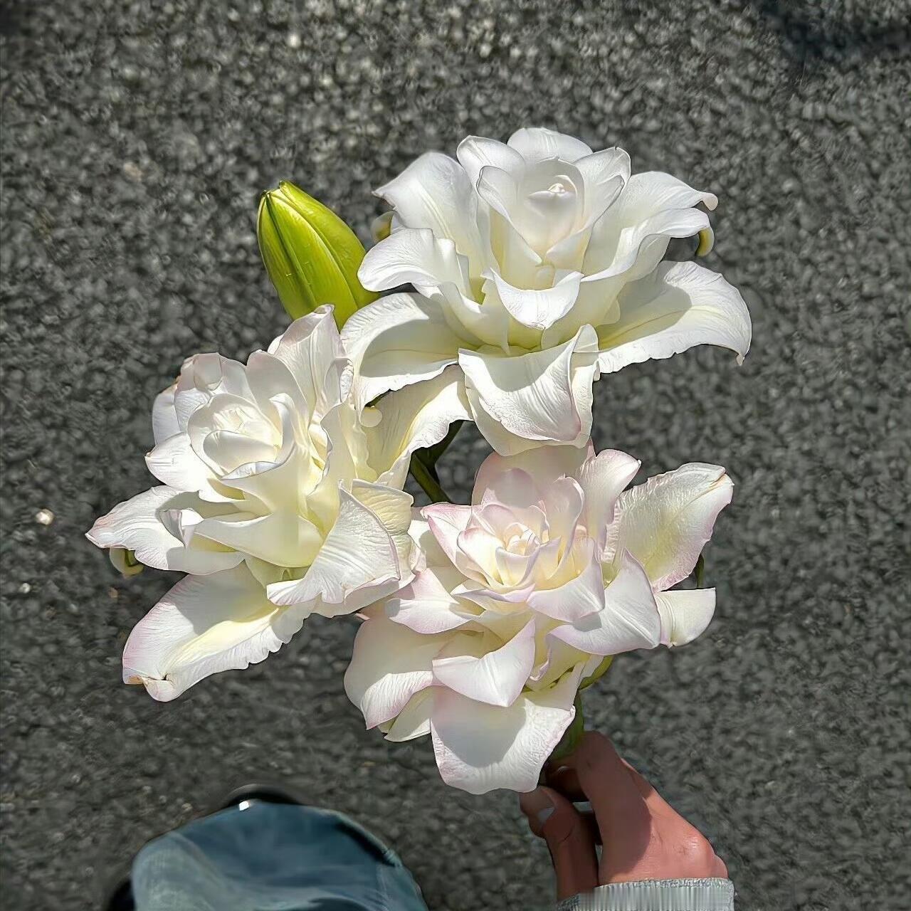✨微信朋友圈·状态背景图分享🫧 