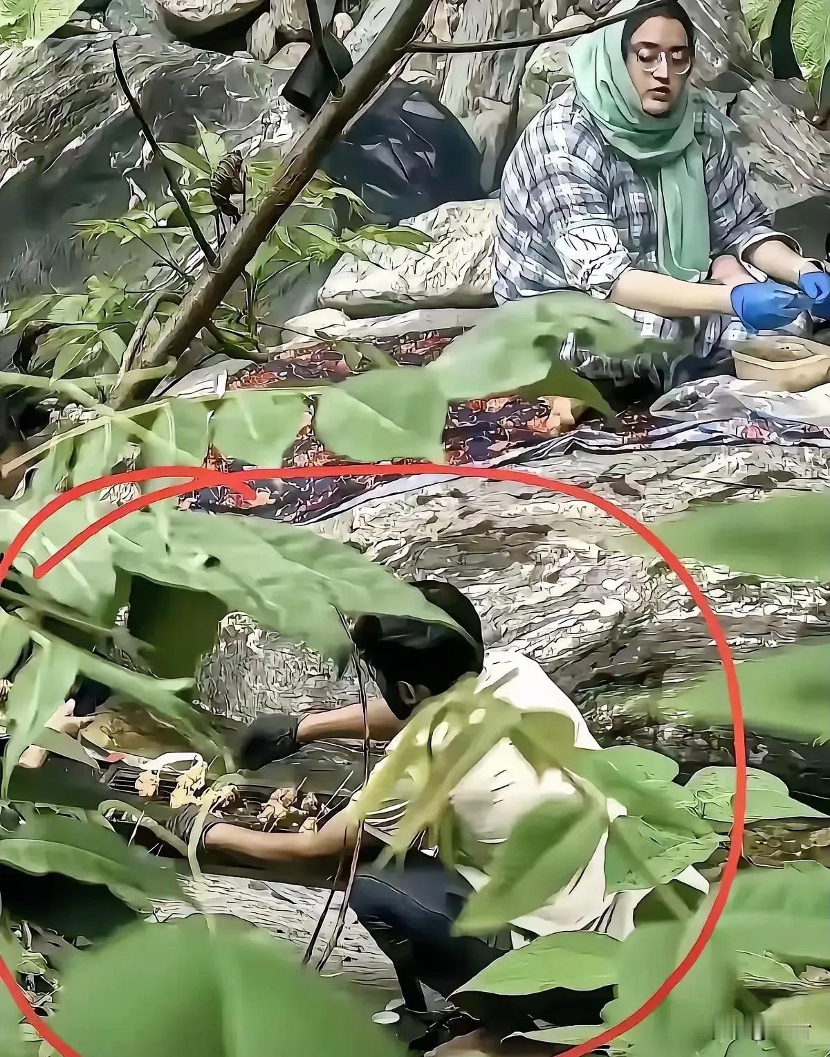 阿三在秦岭防火区内烧烤后续来啦。
人找到了，已经传唤调查，具体处罚结果要等官宣。