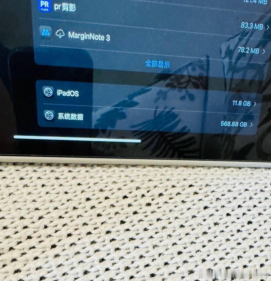 我以为就iOS18有系统数据异常大的问题，没想到iPadOS18也同样有这个问题