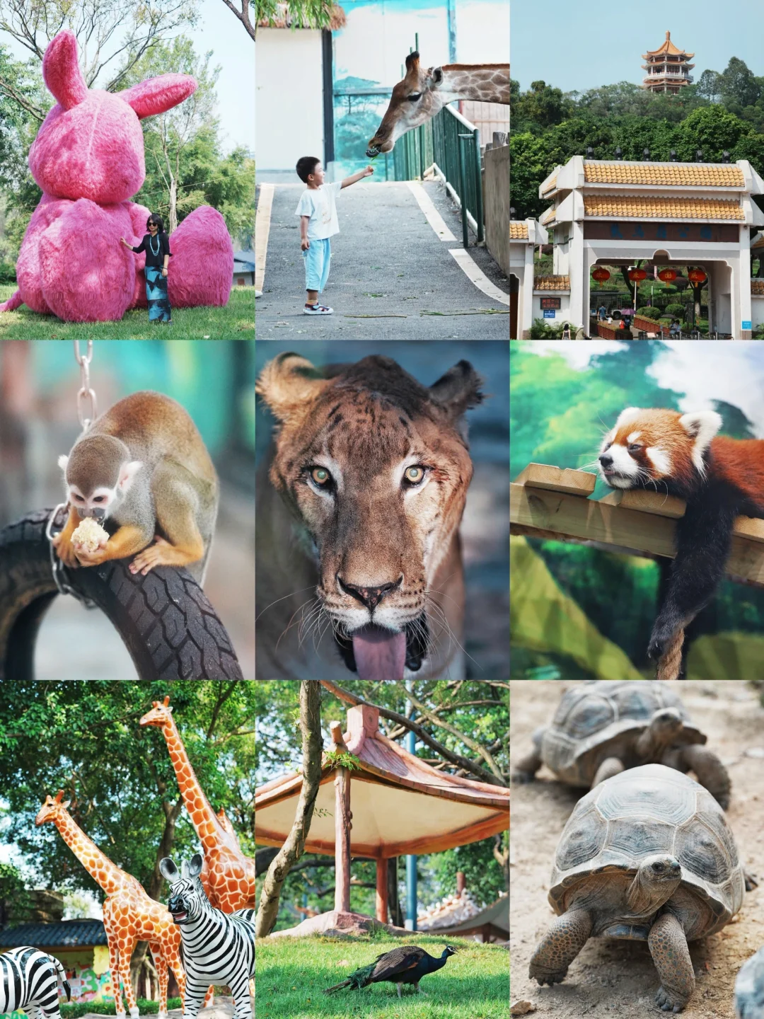 中山紫马岭｜亲子宝藏动物园