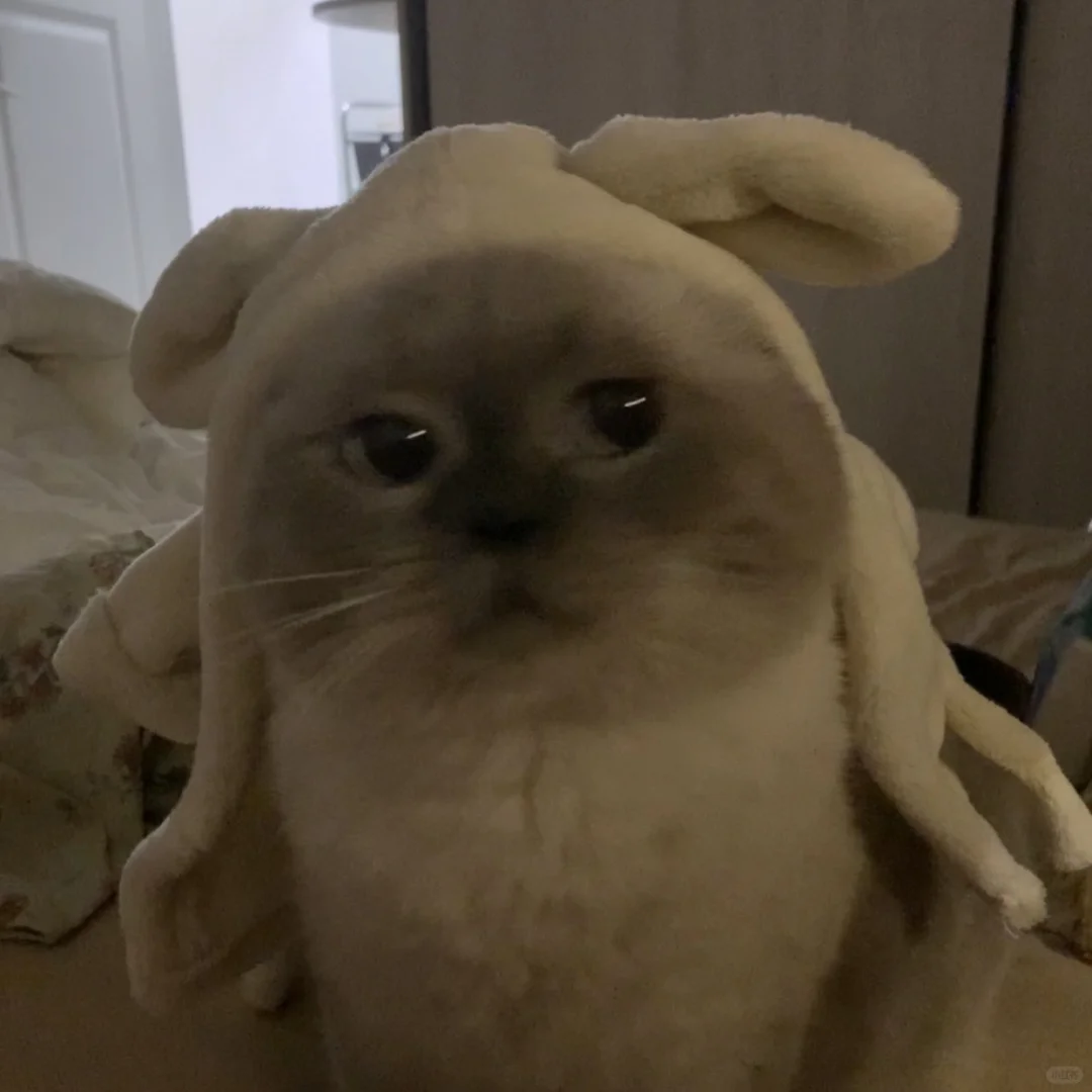 我就是脸黑，那咋了？