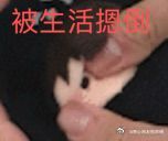 加班加头晕了又来补血