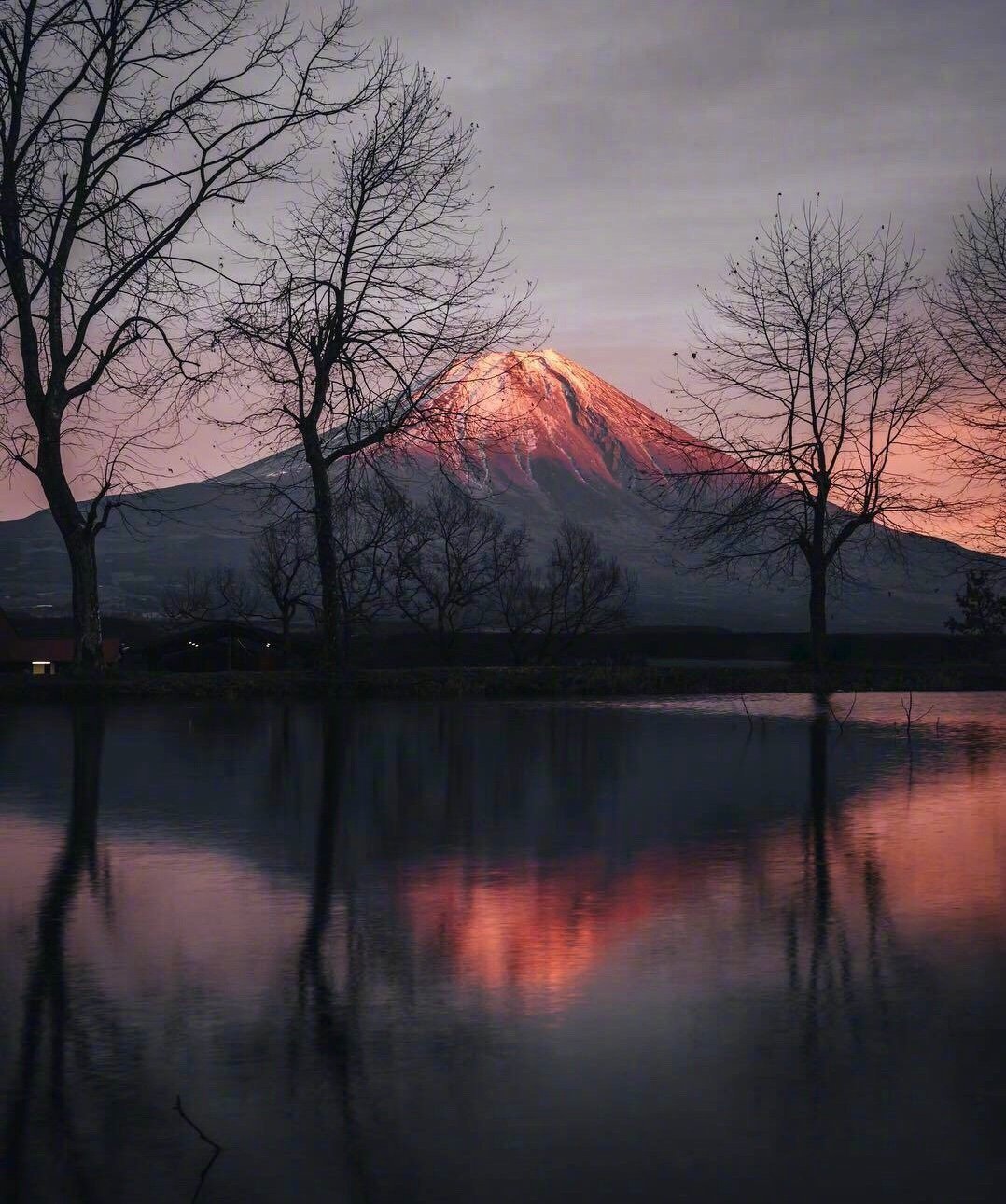 最大的悲剧不是坏人的喧嚣，而是好人的沉默。—— 马丁·路德·金 好书一大摞的橱窗