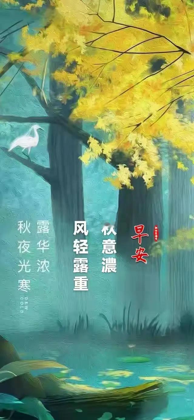 秋夜寒凉。。。。
思绪里，有你也温馨。。。
#回忆青春的美好#

《想起你，还好