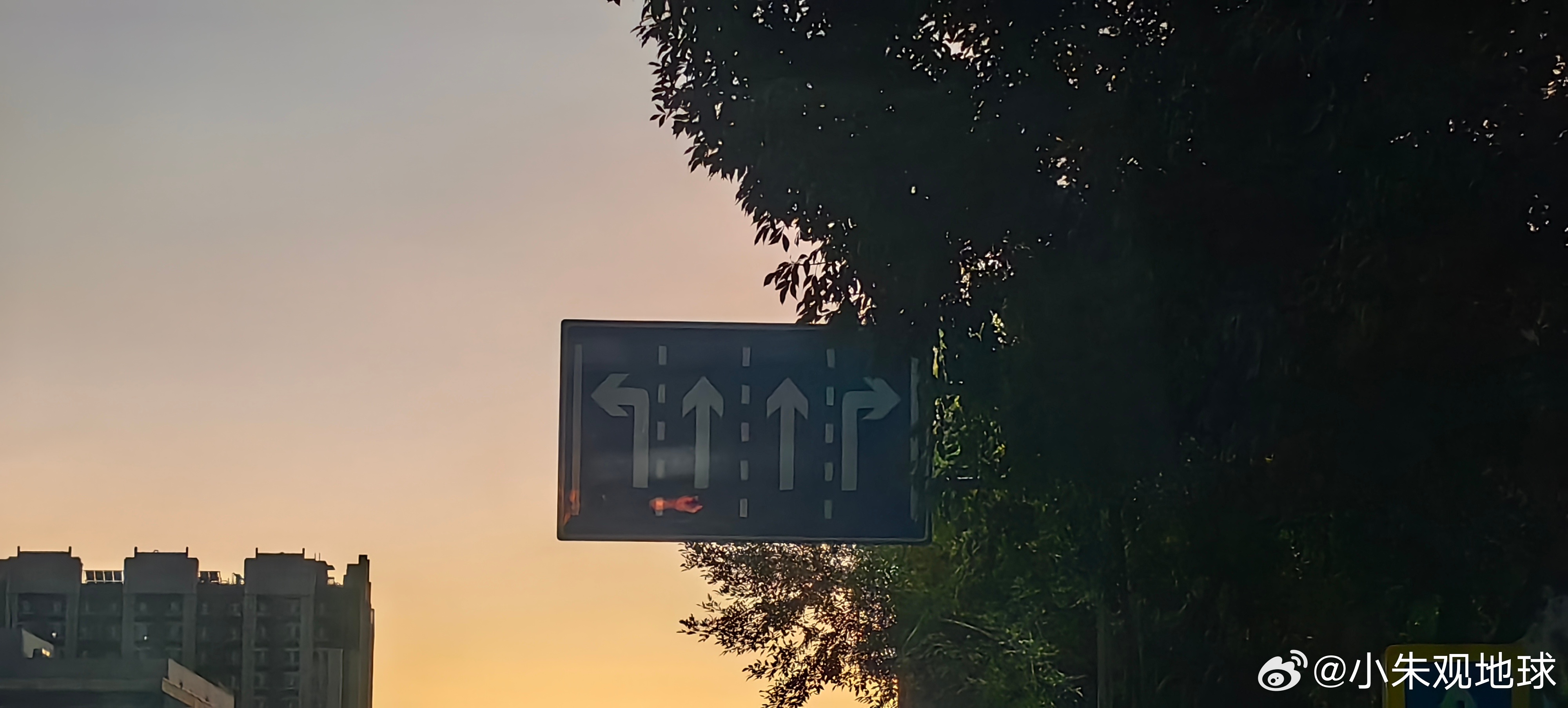 起床，出去玩啊 ​​​